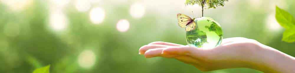 Pourquoi et comment se former à la construction écologique ?