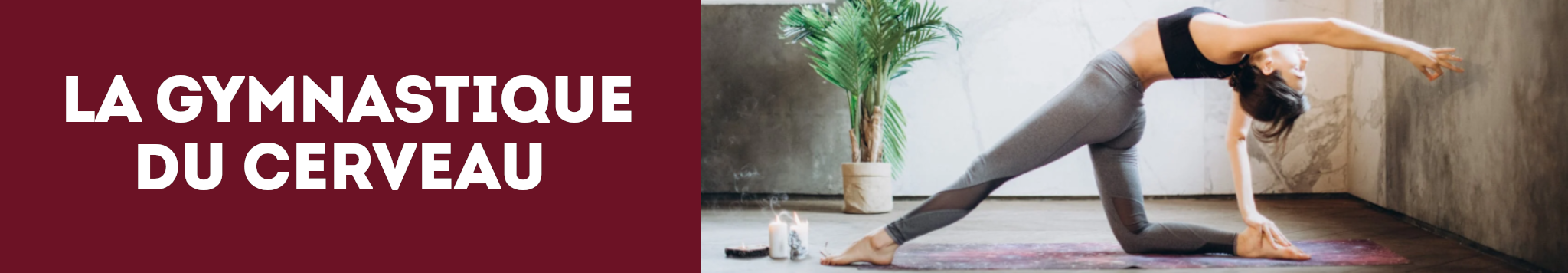 Formation et processus d’apprentissage : l’écologie du cerveau