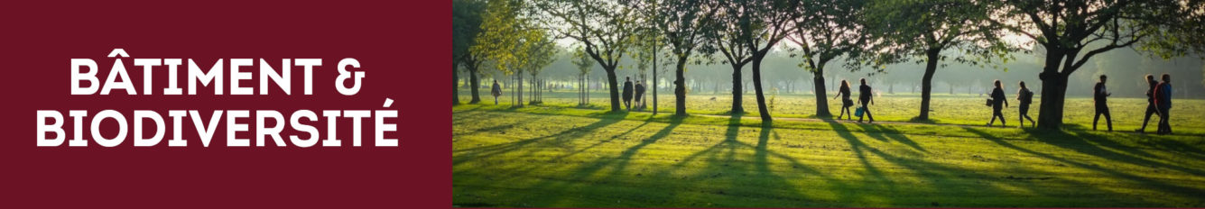 Batiment_biodiversite