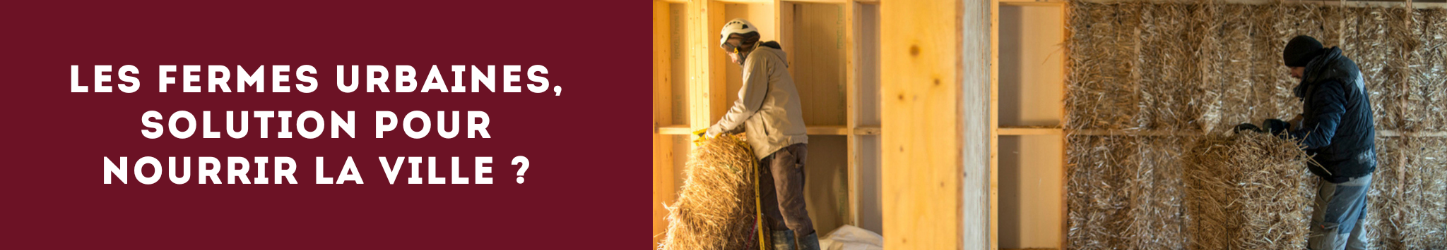 Les fermes urbaines, solution pour nourrir la ville ?