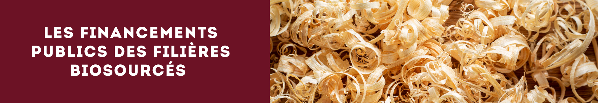 Les financements publics des filières biosourcées