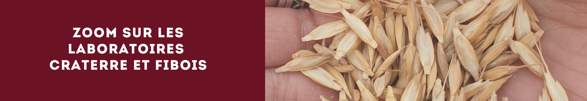 Zoom sur les laboratoires CRAterre et Fibois