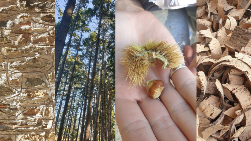 constructions ecologiques