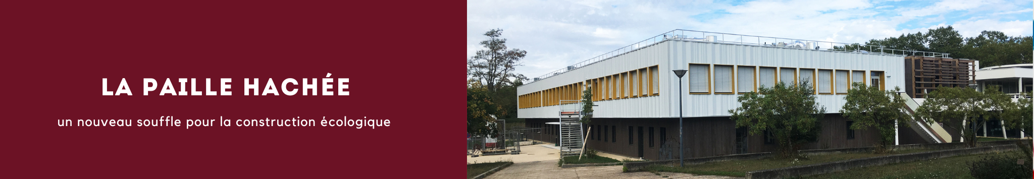 La paille hachée : un nouveau souffle pour la construction écologique