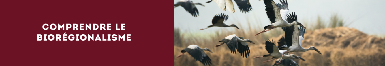 ecoconstruction biorégion