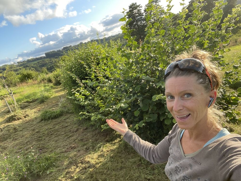 ecoconstruction exemple