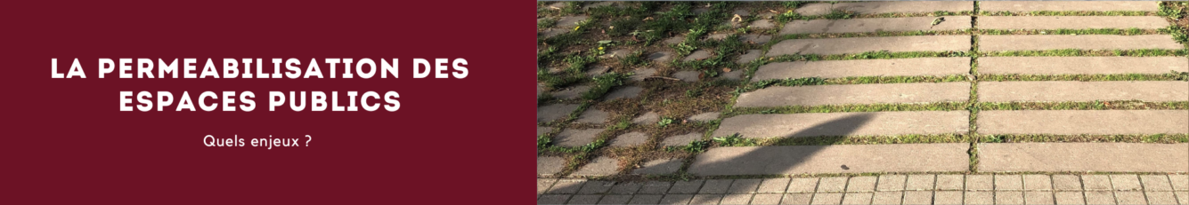 permeabiliser_espaces_publics_green_architecture