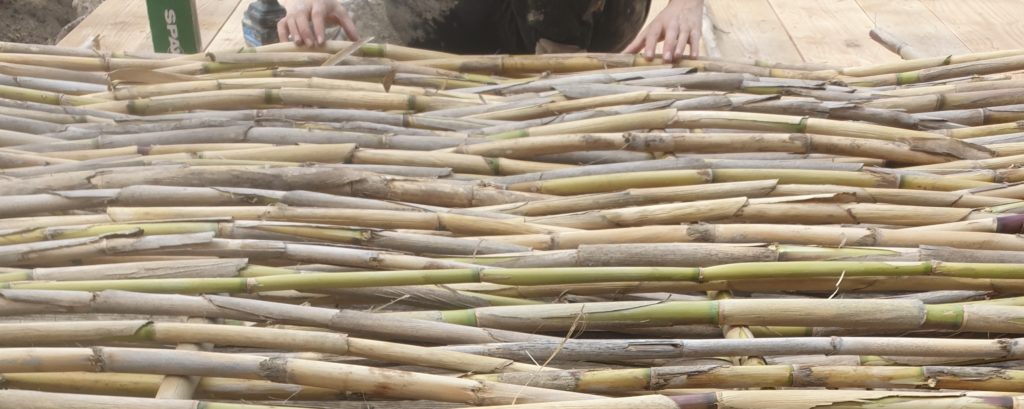Tressage en canne de Provence