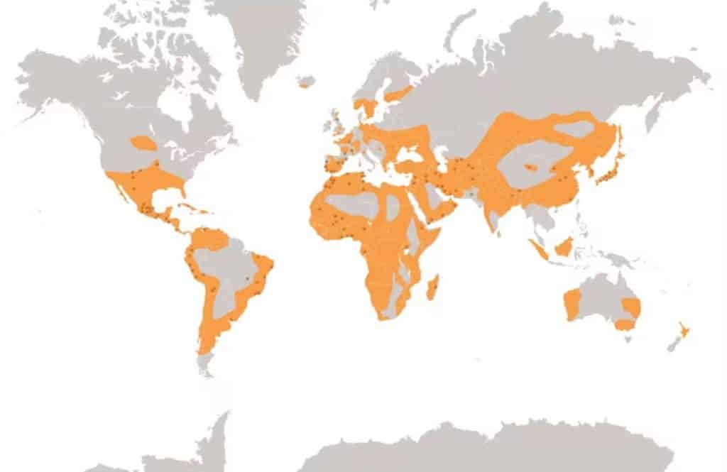Carte des ressources en terre crue dans le monde ©CRAterre